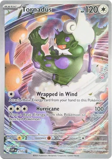Pokemon White Flare Elite Trainer Box